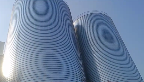 灌南2座混凝土高架卷板仓